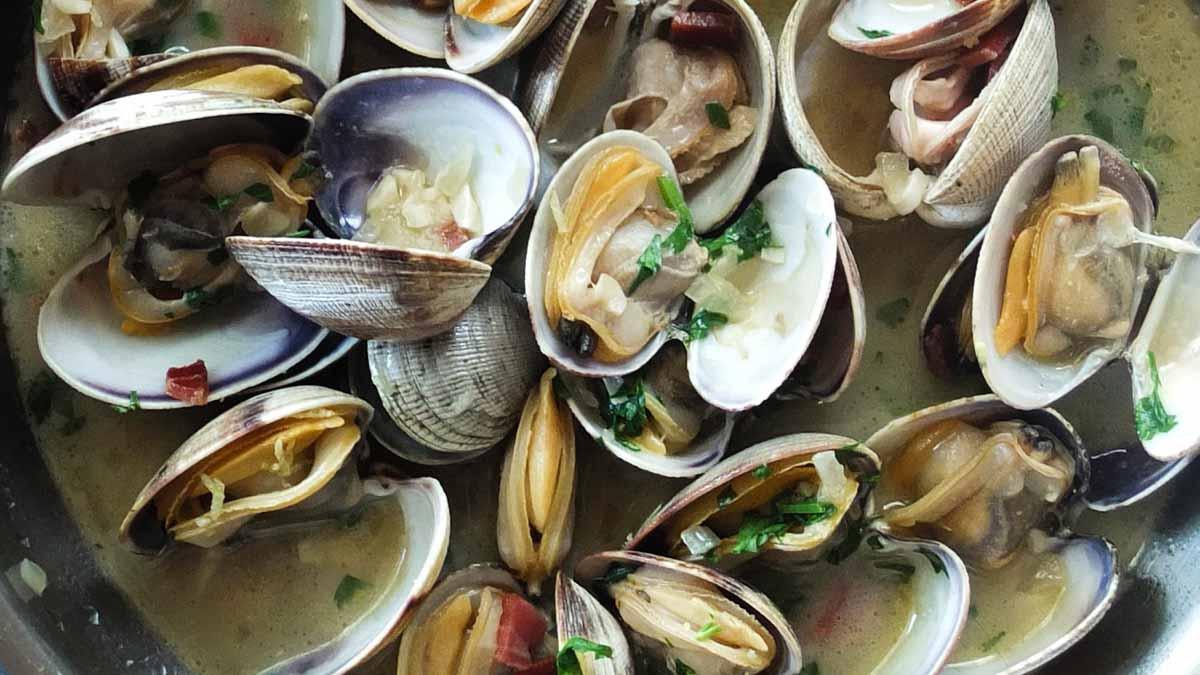 A bowl of steamed clams. Photo by Adrien Sala on Unsplash